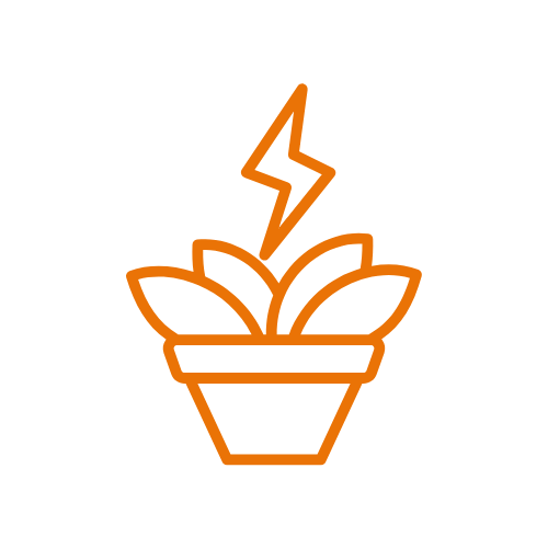 バイオマスエネルギー